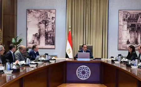 رئيس الوزراء يراقب التقدم في مشاريع الطاقة الجديدة والمتجددة