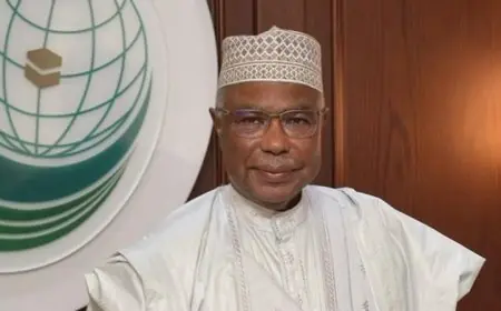 الأمين العام للتعاون الإسلامي يثمن مساهمات مصر في تعزيز جهود التعاون المشترك