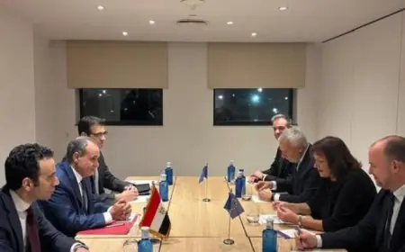 وزير الخارجية يجري محادثات هامة مع المفوضة الأوروبية للمتوسط حول تطورات القضايا الإقليمية