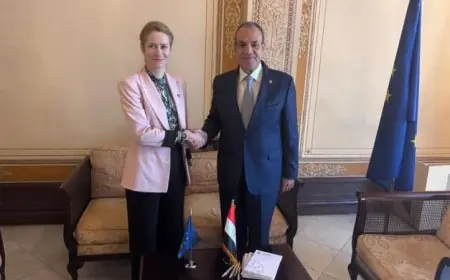 وزير الخارجية يناقش العلاقات الثنائية مع ممثلة الشئون الخارجية والسياسة الأمنية للاتحاد الأوروبي