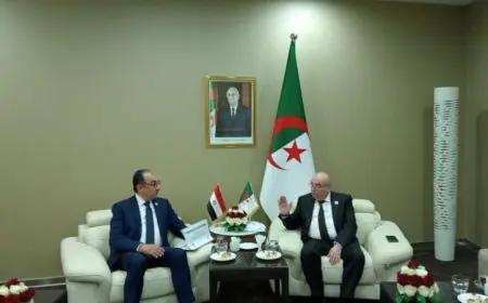 مصر والجزائر تعززان الشراكة الصناعية في صناعة الأدوية وتعززان الأمن الصحي
