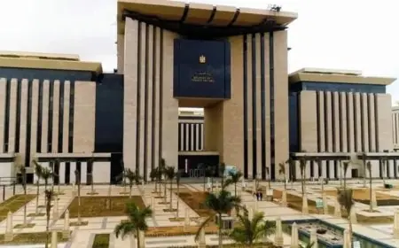 مصر تشدد على أهمية تثبيت وقف إطلاق النار في غزة وضمان توصيل المساعدات الإنسانية