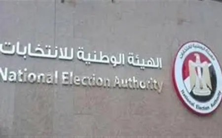 الوطنية للانتخابات ترفع محاضر فرز انتخابات النواب إلى الإدارية العليا