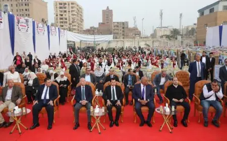 صبحي وصابر يشاركهما توزيع 150 جهاز عروسة في مبادرة فرحة مصر الشاملة