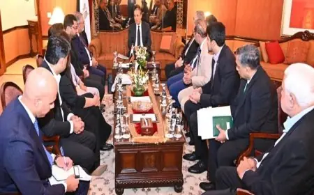 وزير الخارجية يناقش مع باكستان تعزيز التعاون في الربط والممرات التجارية الدولية