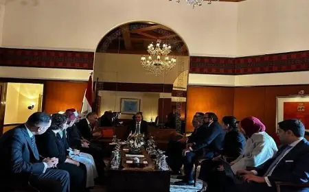 عبد العاطى يؤكد اهتمام الدولة المصرية الكبير ودعمها للجاليات المصرية في الخارج