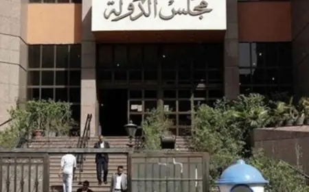 الإدارية العليا تلغي نتائج الانتخابات في 28 دائرة خلال المرحلة الأولى لمجلس النواب