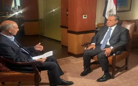 وزير الخارجية يسلط الضوء على تعزيز العلاقات الثنائية بين مصر وباكستان