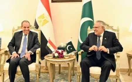 الخارجية المصرية تؤكد أهمية تعزيز دور الحوار المؤسسي مع باكستان من خلال تفعيل دورية الاجتماعات