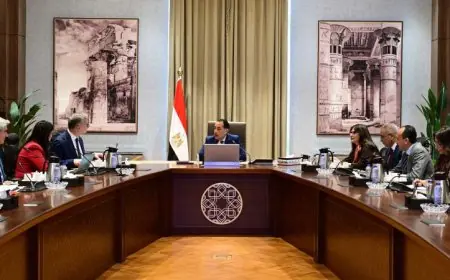 رئيس الوزراء يجتمع مع مدراء شركة أنجلوجولد أشانتي لمناقشة تطوير منجم السكري للذهب