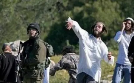 الكنيسة القبطية تبرز ضرورة تضامن المجتمع الدولي لوقف الانتهاكات الإسرائيلية