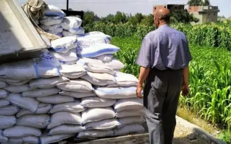 تحذيرات من العلوم الصحية غياب المراقبين الصحيين يعرض منظومة الغذاء للخطر