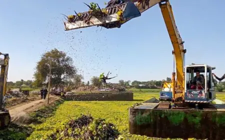 إزالة طريق مخالف بطول 500 متر بحوض فرع رشيد المائي في المنوفية