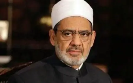 مجلس حكماء المسلمين يندد بالاعتداءات الإسرائيلية على الأراضي السورية