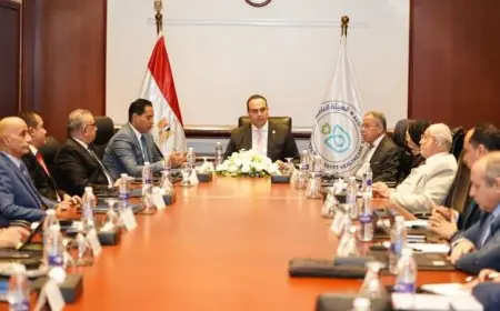 السبكي يكشف عن خطة استراتيجية 2025-2032 كخارطة طريق مستقبلية واضحة