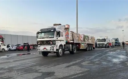 قافلة زاد العزة الـ84 تصل غزة عبر معبر رفح لتقديم المساعدات للفلسطينيين