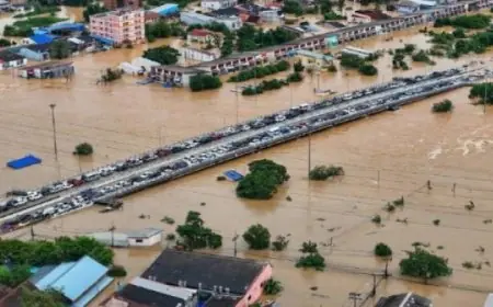 مأساة تايلاند استمرار ارتفاع عدد ضحايا الأمطار الغزيرة والفيضانات إلى 176 قتيلا