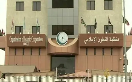 مرصد التعاون الإسلامي يكشف عن زيادة مقلقة في جرائم الاحتلال الإسرائيلي ضد الفلسطينيين