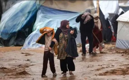 سفير مصر في فيينا يعبر عن تأييد بلاده لحقوق الشعب الفلسطيني المشروعة