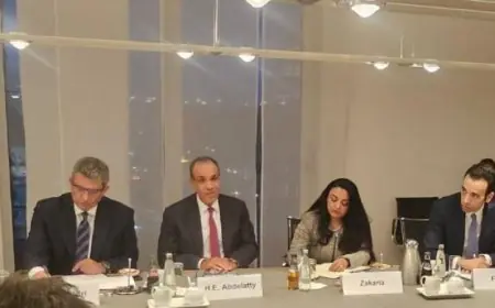 وزير الخارجية المصري يشدد على أهمية تعزيز الشراكة الاقتصادية مع ألمانيا