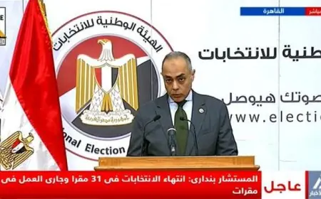 الهيئة الوطنية للانتخابات تؤكد سير عملية تصويت المصريين بالخارج بسلاسة في 20 دائرة من المرحلة الأولى