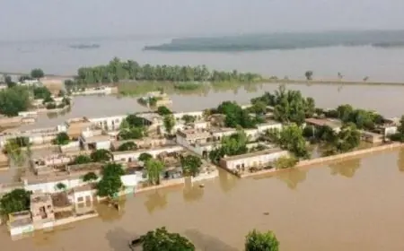 ارتفاع عدد ضحايا الفيضانات والانهيارات الأرضية في إندونيسيا إلى 753 قتيلا