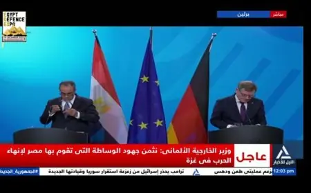 وزير الخارجية الألماني يشيد بدور مصر الفعال في الوساطة لإنهاء الحرب في غزة