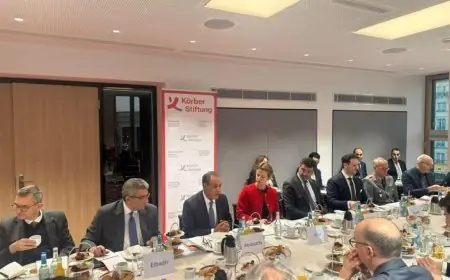 وزير الخارجية يشدد على أهمية التعاون الدولي لتعزيز اتفاق وقف إطلاق النار في غزة