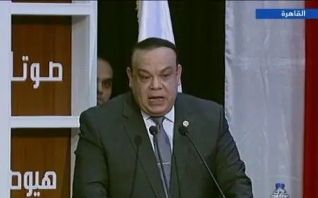 الهيئة الوطنية للانتخابات تلغي لجنتين خلال انتخابات النواب في الدقهلية والقليوبية