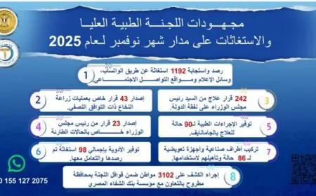 رئيس الوزراء يشرف على تقدم اللجنة الطبية العليا في التعامل مع الاستغاثات خلال نوفمبر