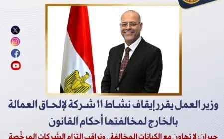 وزير العمل يوقف نشاط 11 شركة لتوظيف العمالة بالخارج بسبب المخالفات القانونية