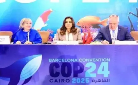 تسلم مصر رئاسة الدورة 24 لمؤتمر الأطراف لاتفاقية حماية بيئة البحر المتوسط