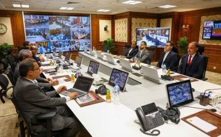 وزيرة التنمية المحلية ترصد مستجدات العملية الانتخابية في الدوائر الملغاة بالمحافظة