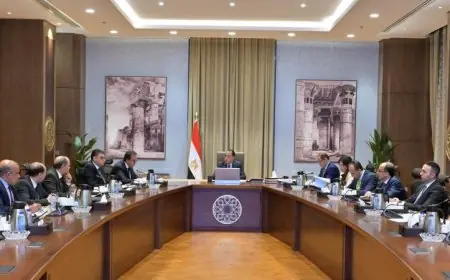 رئيس الوزراء يعزز جهود توفير الأدوية ويشرف على سداد مستحقات الشركات