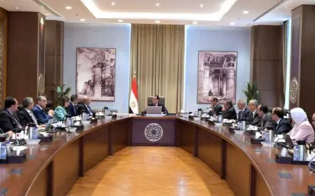 رئيس الوزراء يراقب خطوات قوية لمكافحة تهريب السلع والبضائع عبر المنافذ المختلفة