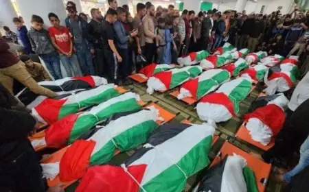 زيادة مقلقة في عدد الشهداء الفلسطينيين في غزة تصل إلى 70369 شهيدا