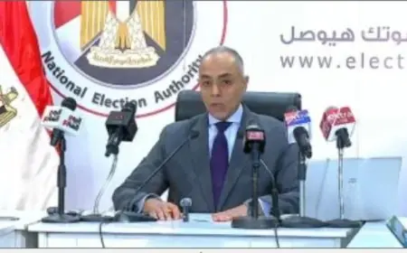 بنداري يعلن تسليم وكلاء المرشحين محاضر الفرز العددي في اللجان الانتخابية