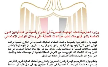 الخارجية المصرية تدعو المصريين في الخارج لتوخي الحذر عند نشر فيديوهات طلب المساعدات القنصلية