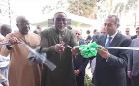 نائب رئيس جامبيا يثمن جهود المركز الطبي المصري في بانجول ويقدم شكره للرئيس السيسي