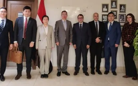 مشاورات مصر والصين لتعزيز التعاون في القرن الأفريقي