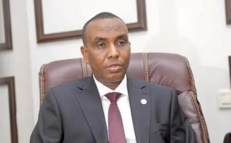 رئيس وزراء الصومال يعبر عن تقديره لعلاقات الصداقة التاريخية مع مصر