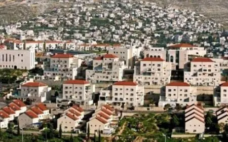 هيئة فلسطينية تكشف عن أن توسيع المستوطنات جزء من خطة ضم الضفة الغربية من قبل إسرائيل