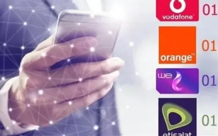 اكتشف عدد الخطوط المسجلة باسمك لدى شركات المحمول باستخدام الرقم القومي