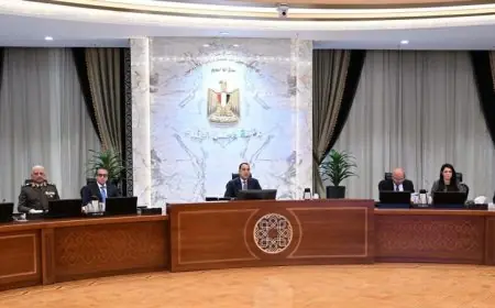 الوزراء يقرون مشروع إعادة تخصيص أرض ومباني معهد ناصر لصالح وزارة الصحة