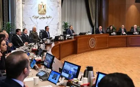 مجلس الوزراء يستعرض استراتيجيات قانونية لتعزيز قدرات مواجهة الشائعات