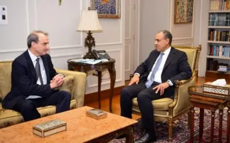 وزير الخارجية يسلط الضوء على الشراكة الاستراتيجية القوية بين مصر والولايات المتحدة