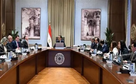 مدبولي يعزز الدعم الكامل لمبادرة بلومبرج جرين لتحقيق التنمية المستدامة