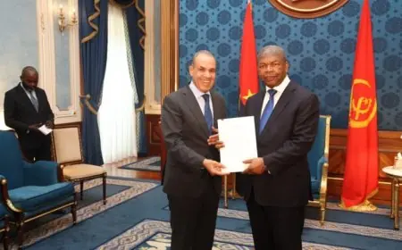وزير الخارجية يتسلم رسالة مهمة من الرئيس السيسي إلى نظيره الأنجولي