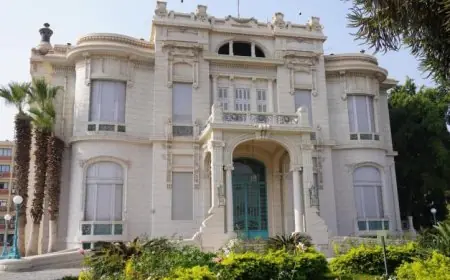 جامعة عين شمس تصدر بيانًا رسميًا تنفي فيه علاقة الطبيب المخالف لقواعد الطب