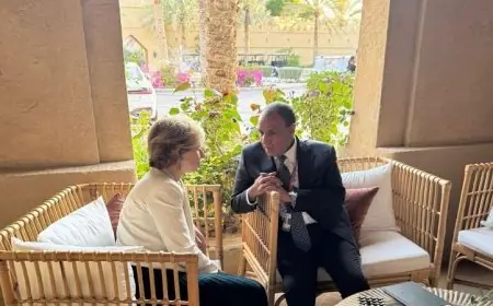 وزير الخارجية يعبر عن تقديره للعلاقات الاستراتيجية المتينة بين مصر وفرنسا